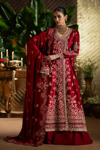 Saad Bin Shahzad - ALIRA