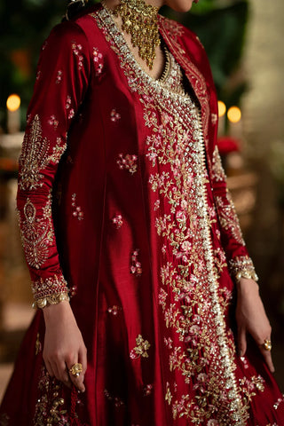 Saad Bin Shahzad - ALIRA