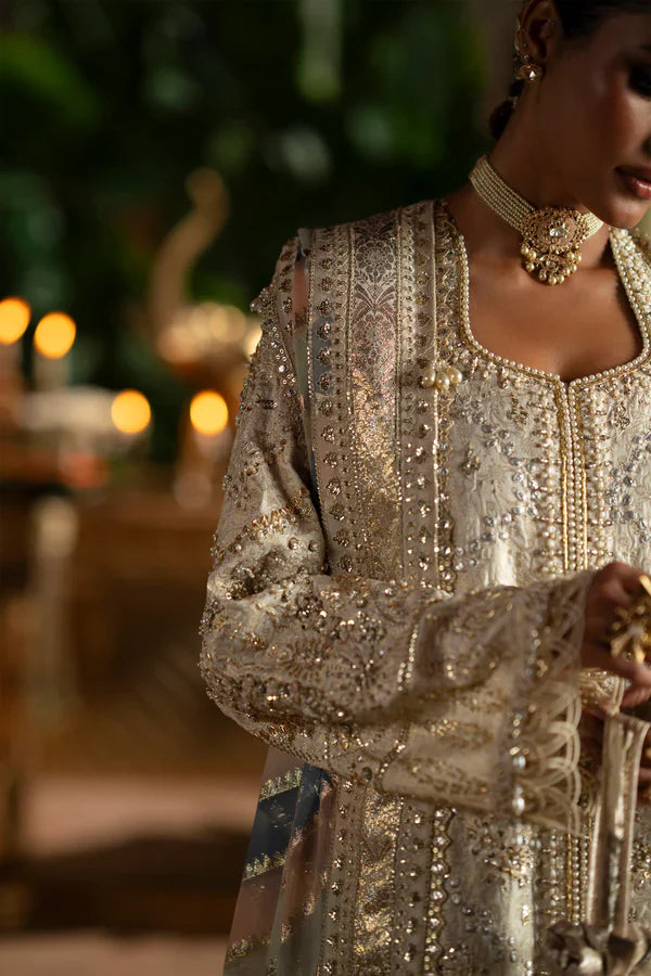 Saad Bin Shahzad - SOPHIA