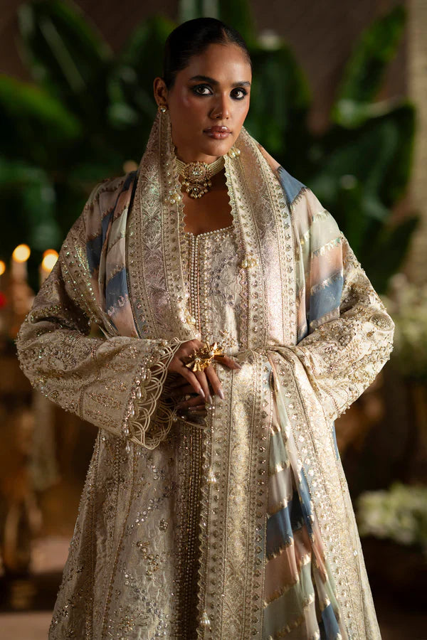 Saad Bin Shahzad - SOPHIA