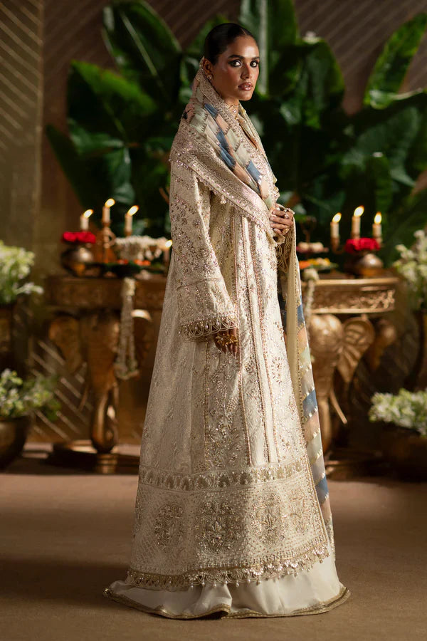 Saad Bin Shahzad - SOPHIA