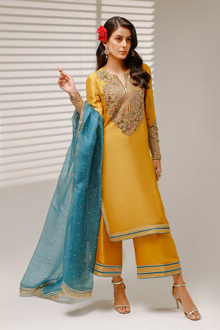Pakistani indian wedding bridal dresses mehndi nikkah eid formal party outfits usa uk