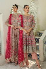 Sable | La Vie En Rose Embroidered Chiffon Collection | Imrozia