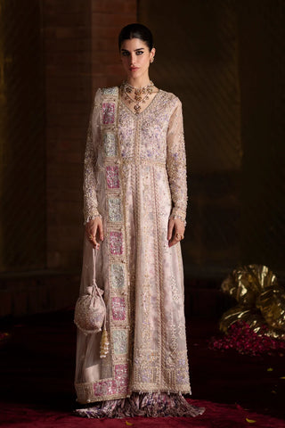 Saad Bin Shahzad - AYSEL