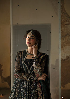 AFZ-Meera