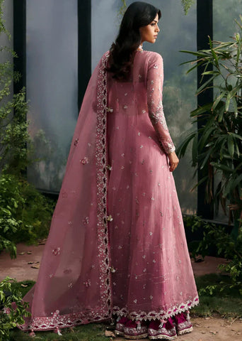 Afrozeh - Seraira-La Fuchsia-25