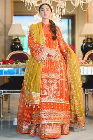 MNR NAZIA HASSAN Tangerine ZWU22-11