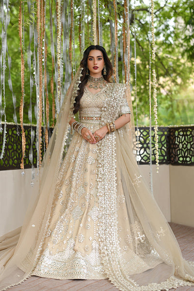 ROOP RF-06 Pakistani indian wedding bridal dresses usa uk mehndi nikkah  outfits – Layla couture